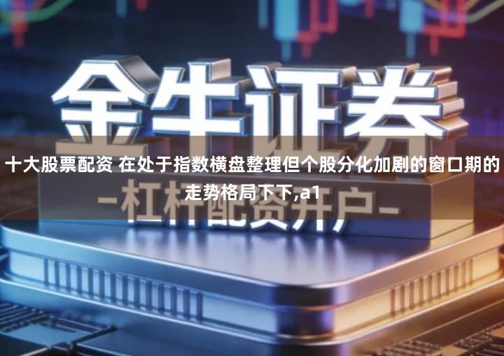 十大股票配资 在处于指数横盘整理但个股分化加剧的窗口期的走势格局下下,a1